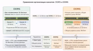 DDR-6